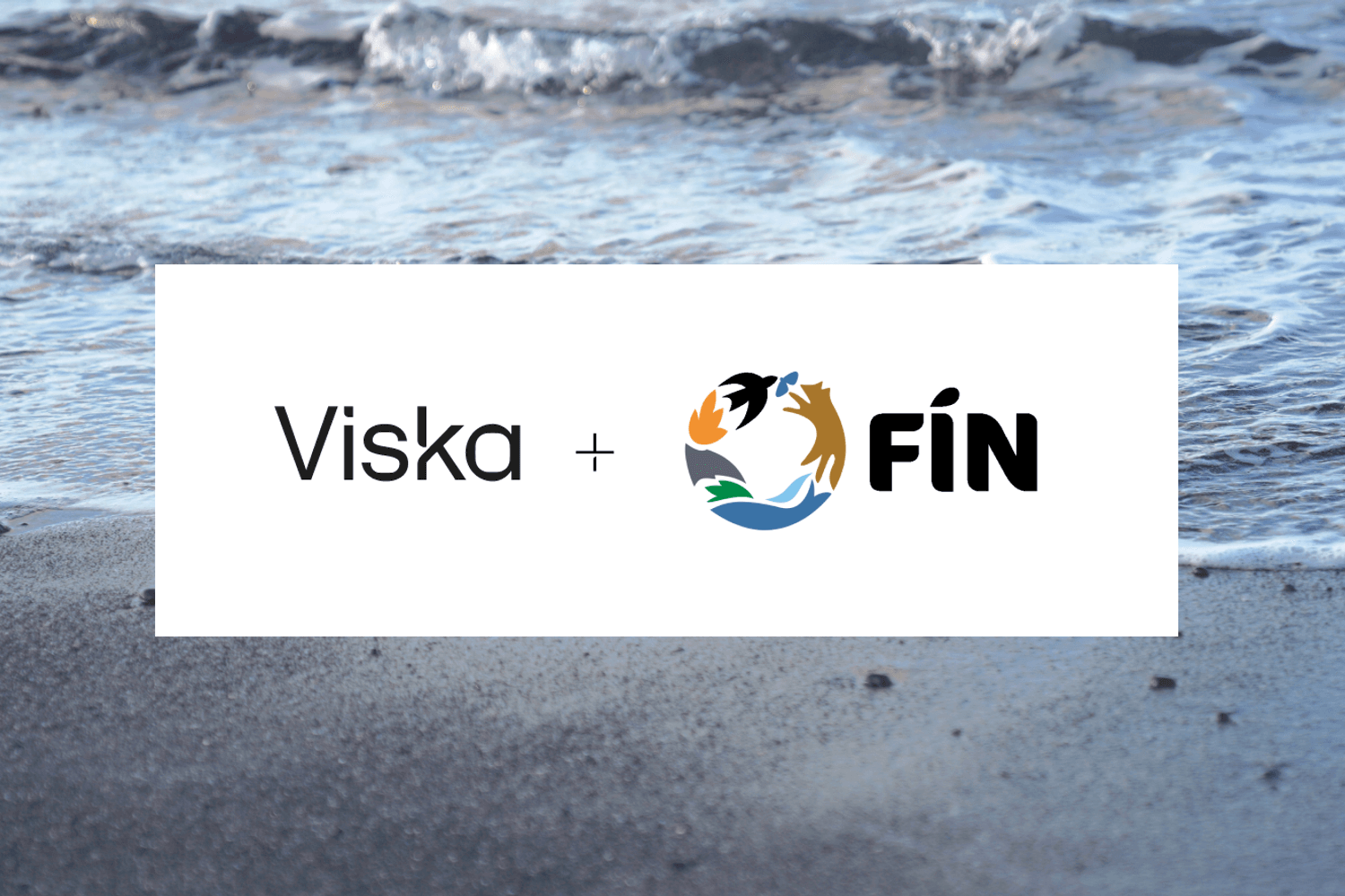 Viska og FÍN